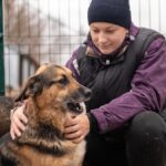 Jaka karma do schroniska sprawdzi się najlepiej?