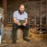 Jak sprawdzić historię BIK przed złożeniem wniosku o kredyt?